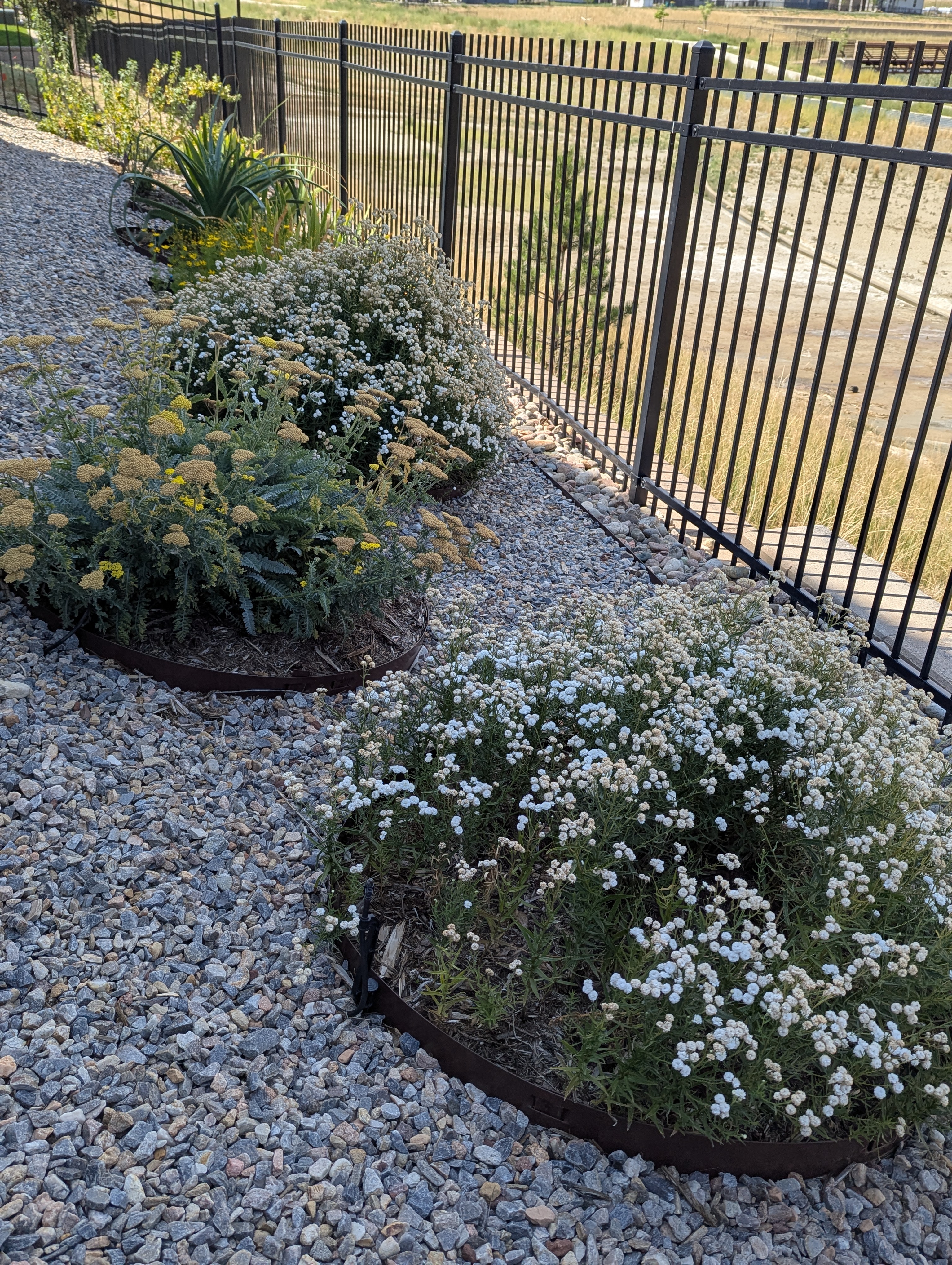 Garden, Morrison, Colorado